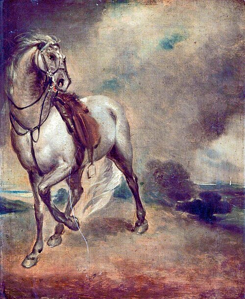 Study of a Horse, , George Romney