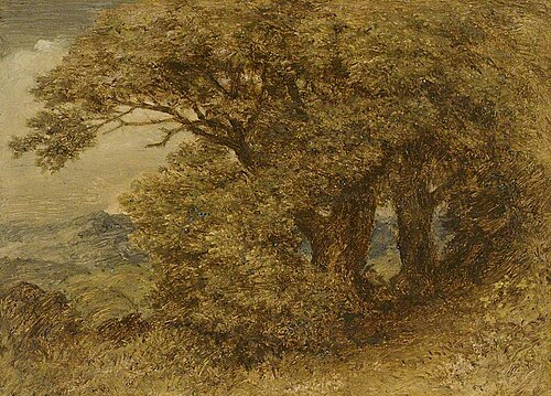 Oak Trees in Summer, , Edward Calvert