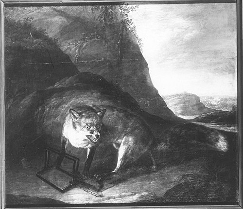 Ein Fuchs in Schlageisen, 1749, Daniel Hien
