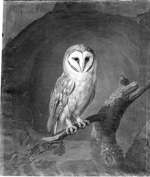Tierstück (Käuzchen), , Daniel Hien