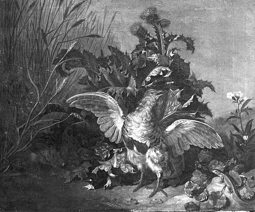 Jagdstück mit Rebhühnern, 1749, Daniel Hien