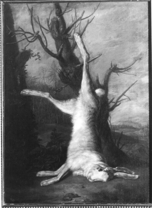 Toter weißer Hase, 1749, Daniel Hien