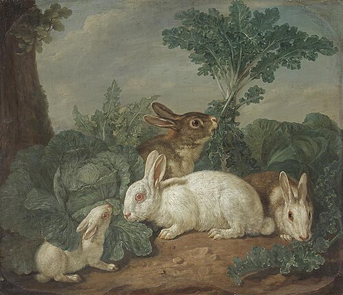 Hasen-Tierstück, 1749, Daniel Hien