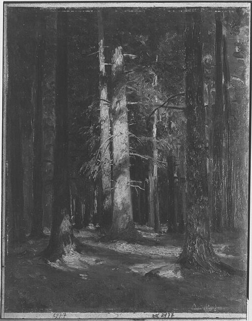 Sonnenschein im Walde, 1890, August Splitgerber