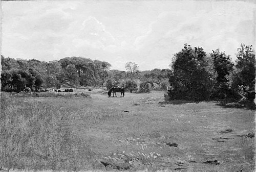 Meadow with a Black Horse Grazing, 1854, Lorenz Frølich