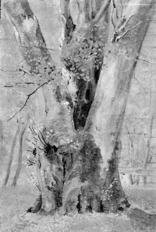 A Tree with Several Trunks, 1836, Lorenz Frølich