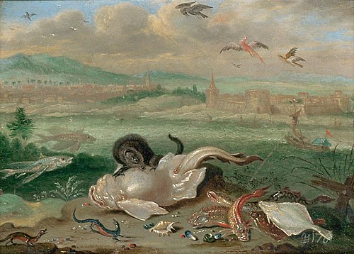 Ansichten aus den vier Weltteilen mit Szenen von Tieren: Florida, , Ferdinand van Kessel the Elder