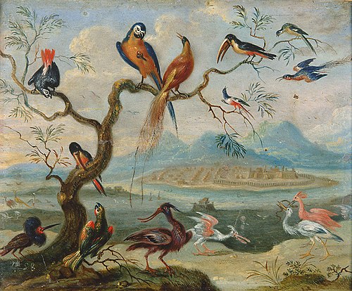Ansichten aus den vier Weltteilen mit Szenen von Tieren: St. Merryn, , Ferdinand van Kessel the Elder