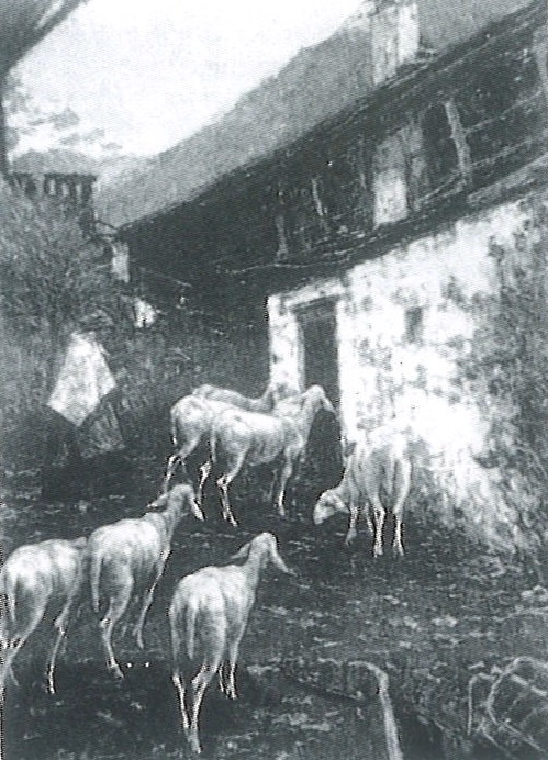 Return to the fold (Filippini), 1887, Francesco Filippini