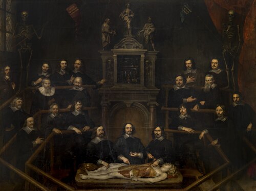 The Anatomy Lesson of Dr. Joannes van Buyten, 1648, Frans Denys