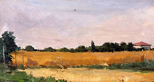 Campo di grano, 1956, Gianfranco Manara