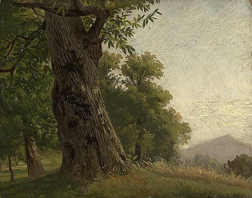 Baumstudie, 1861, Gustav Osterroht