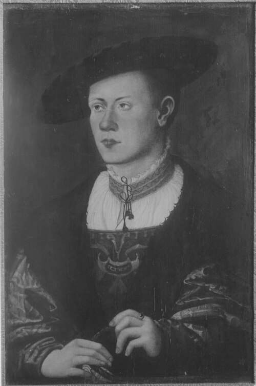 Bildnis eines jungen Mannes, 1531, Hans Schöpfer il Vecchio