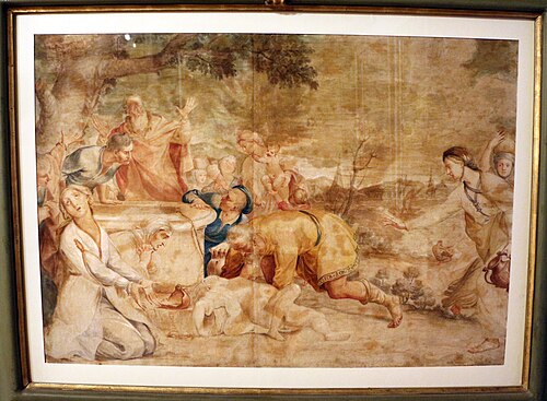 , , Andrea Pozzo
