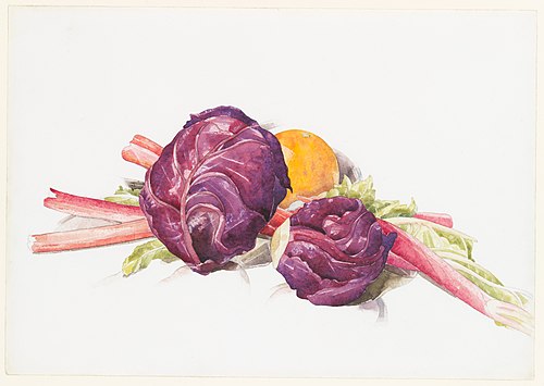 Red Cabbages, Rhubarb and Orange, 1929, Charles Demuth