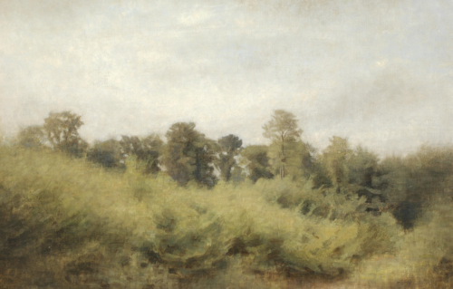Young forest. Trørød, 1907, Vilhelm Hammershøi