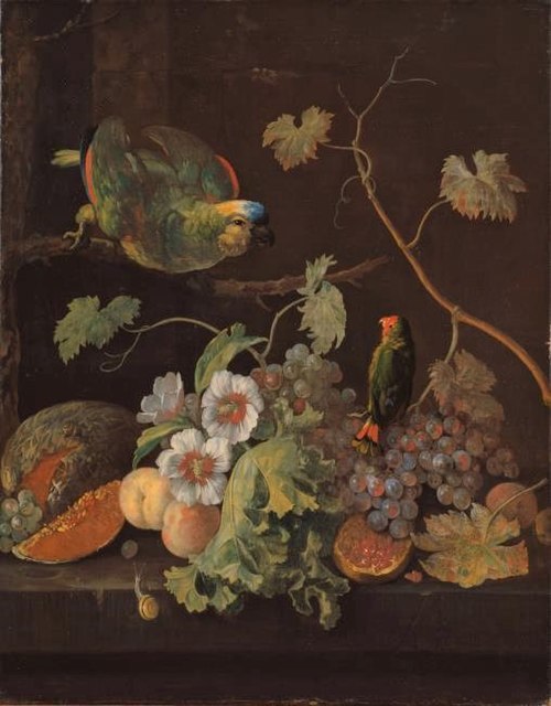 Still Life with Parrots, 1700, Justus van Huysum