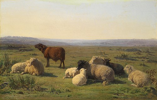 Moutons se reposant dans un pré, 1869, Juliette Bonheur