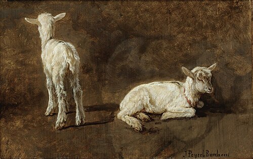 A Study of Two Lambs, , Juliette Bonheur
