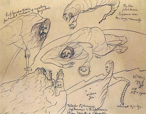 Prof. Cynaderkiewicz ..., 1936, Stanisław Ignacy Witkiewicz