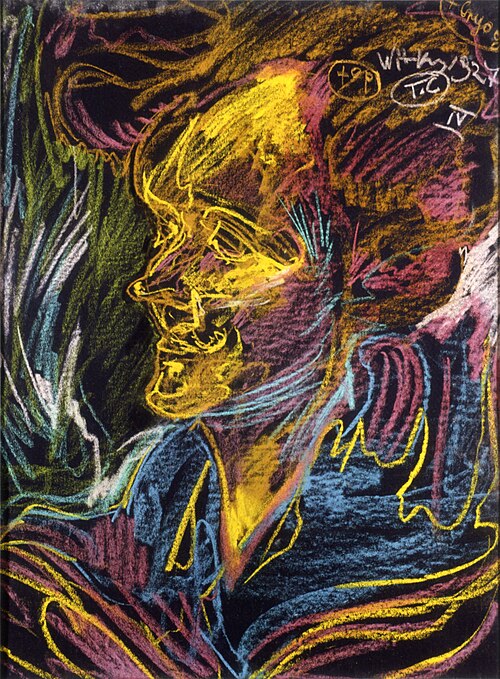 Portrait of Helena Białynicka-Birula, 1927, Stanisław Ignacy Witkiewicz