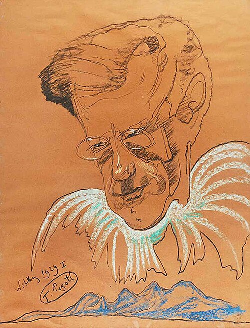 Portrait of Janusz Kotarbiński, "angel over mountains", 1929, Stanisław Ignacy Witkiewicz