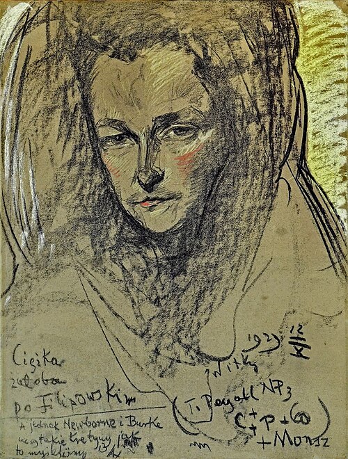 Portrait of Helena Białynicka-Birula, 1929, Stanisław Ignacy Witkiewicz