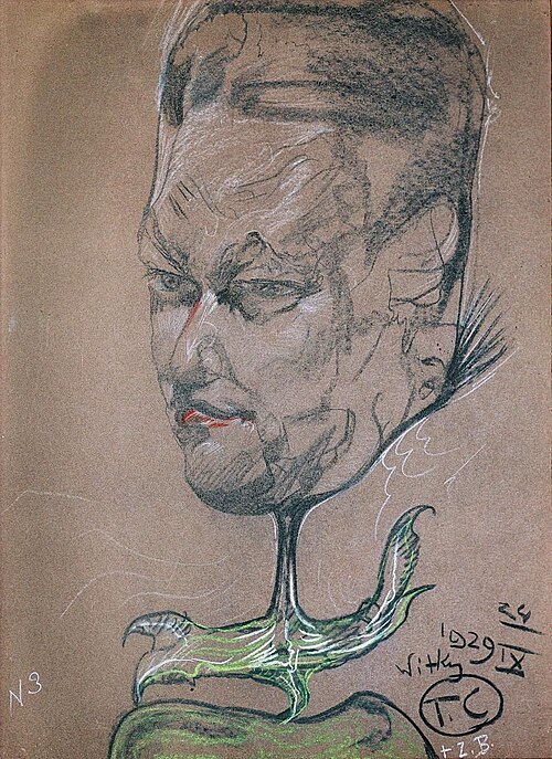 Portrait of engineer Janusz de Beaurain, 1929, Stanisław Ignacy Witkiewicz