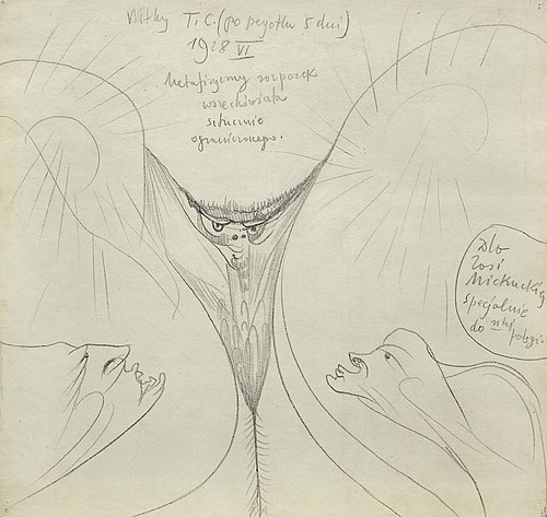 Metaphysical Fly ..., 1928, Stanisław Ignacy Witkiewicz