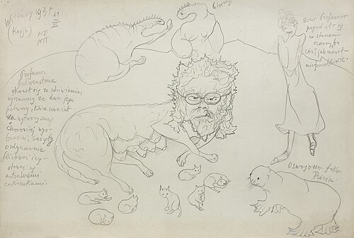 Professor Pulverstone had a litter of kittens .., 1937, Stanisław Ignacy Witkiewicz