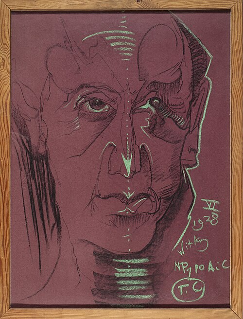 Portrait of Leon Reynel, 1928, Stanisław Ignacy Witkiewicz