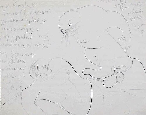 Emeryk Kotoplaski decided, 1935, Stanisław Ignacy Witkiewicz