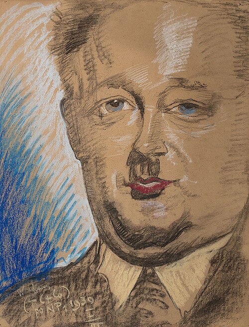 Portrait of Janusz Domaniewski, 1930, Stanisław Ignacy Witkiewicz