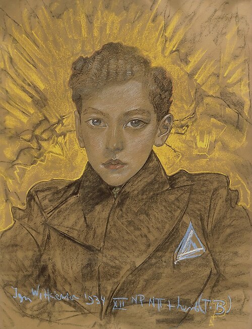 Portrait of a boy, 1934, Stanisław Ignacy Witkiewicz