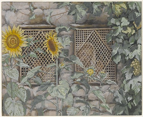 Jésus regardant à travers le treillis, 1890, James Tissot