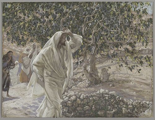 Le figuier maudit, 1890, James Tissot