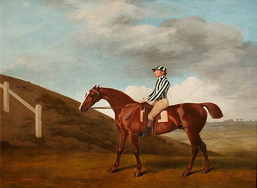Pumpkin, 1773, George Stubbs
