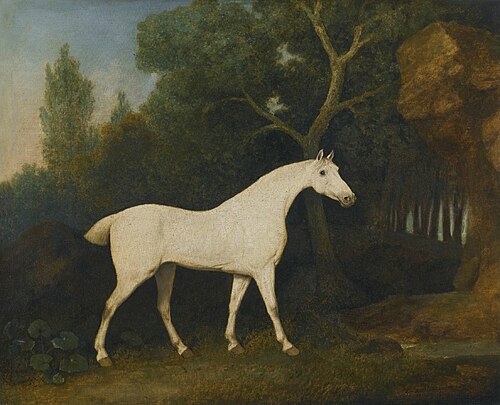 Selim, a Grey Hunter in a Paddock, 1802, George Stubbs