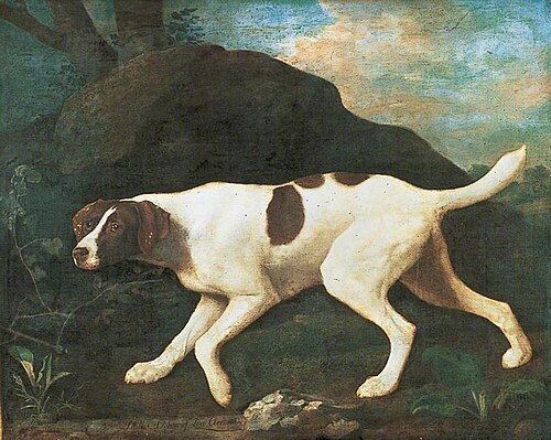 'Phillis', a Pointer of Lord Clermont's, 1772, George Stubbs