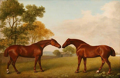 Two Horses in a Paddock, 1788, George Stubbs