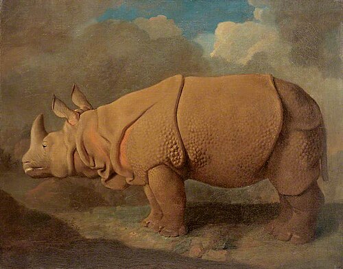 Rhinoceros, 1790, George Stubbs