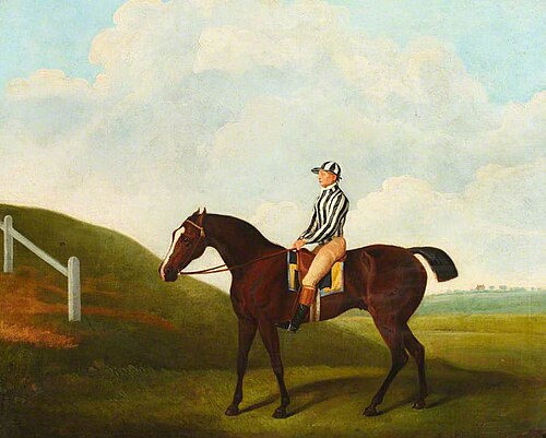 'Pumpkin', , George Stubbs