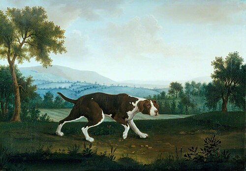 The Spanish Pointer, , George Stubbs