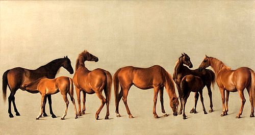Mares and Foals without a Background, 1762, George Stubbs