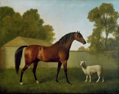 Dungannon, propriété du colonel O'Kelly, peint dans un paddock avec un mouton, 1793, George Stubbs