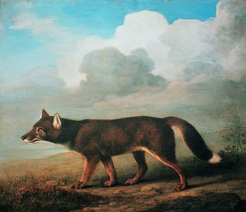 Portrait of a Large Dog, 1772, George Stubbs