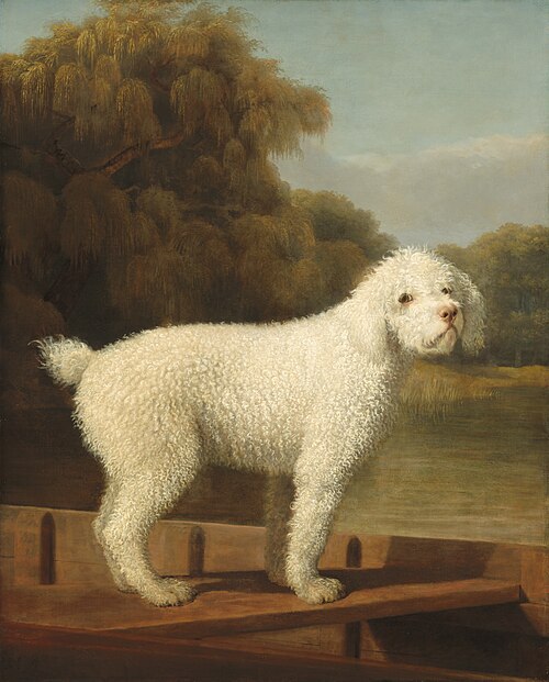 White Poodle in a Punt, 1780, George Stubbs