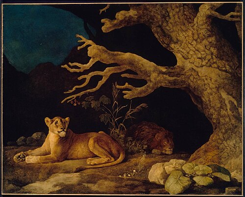 Lion and Lioness, 1771, George Stubbs