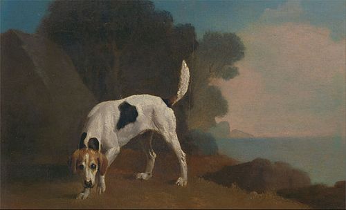 Foxhound, 1760, George Stubbs