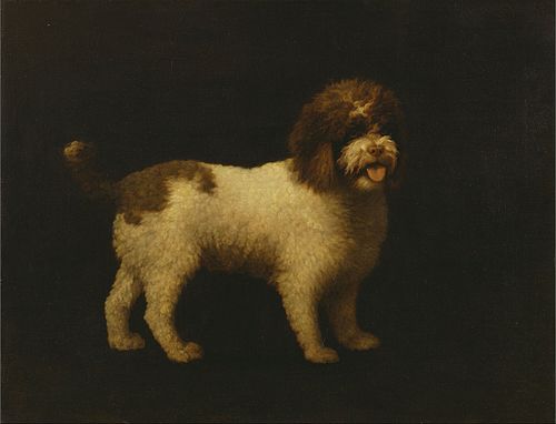 Water Spaniel, 1769, George Stubbs